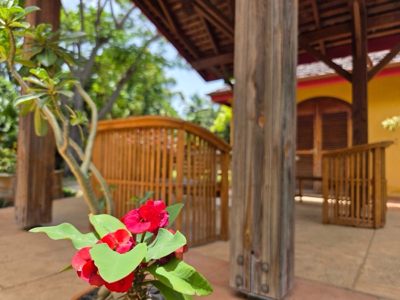 Carbet en bois du Jardin de Beauvallon pour séminaires et cocktails d'entreprise à Basse-Terre